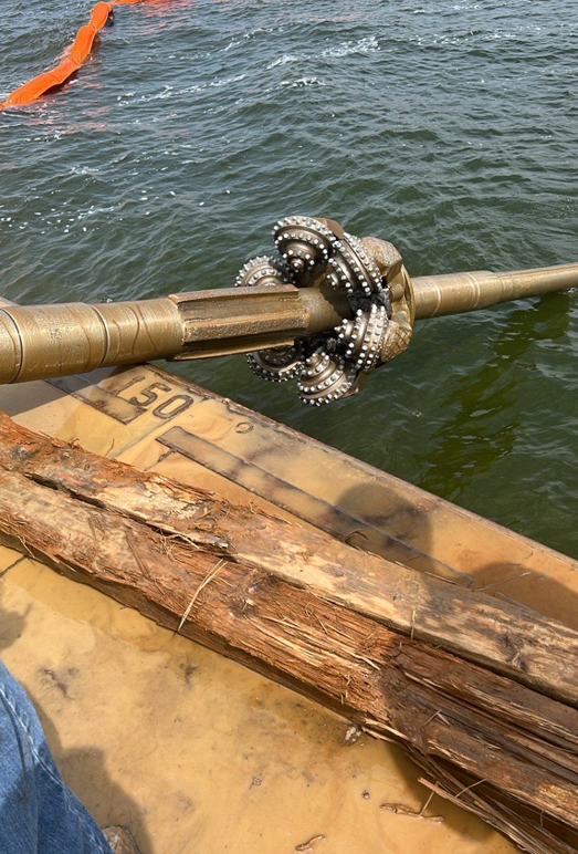 Screenshot 2026 03 17 143817